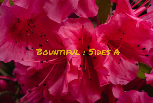 Bountiful : Side A - GROW7H